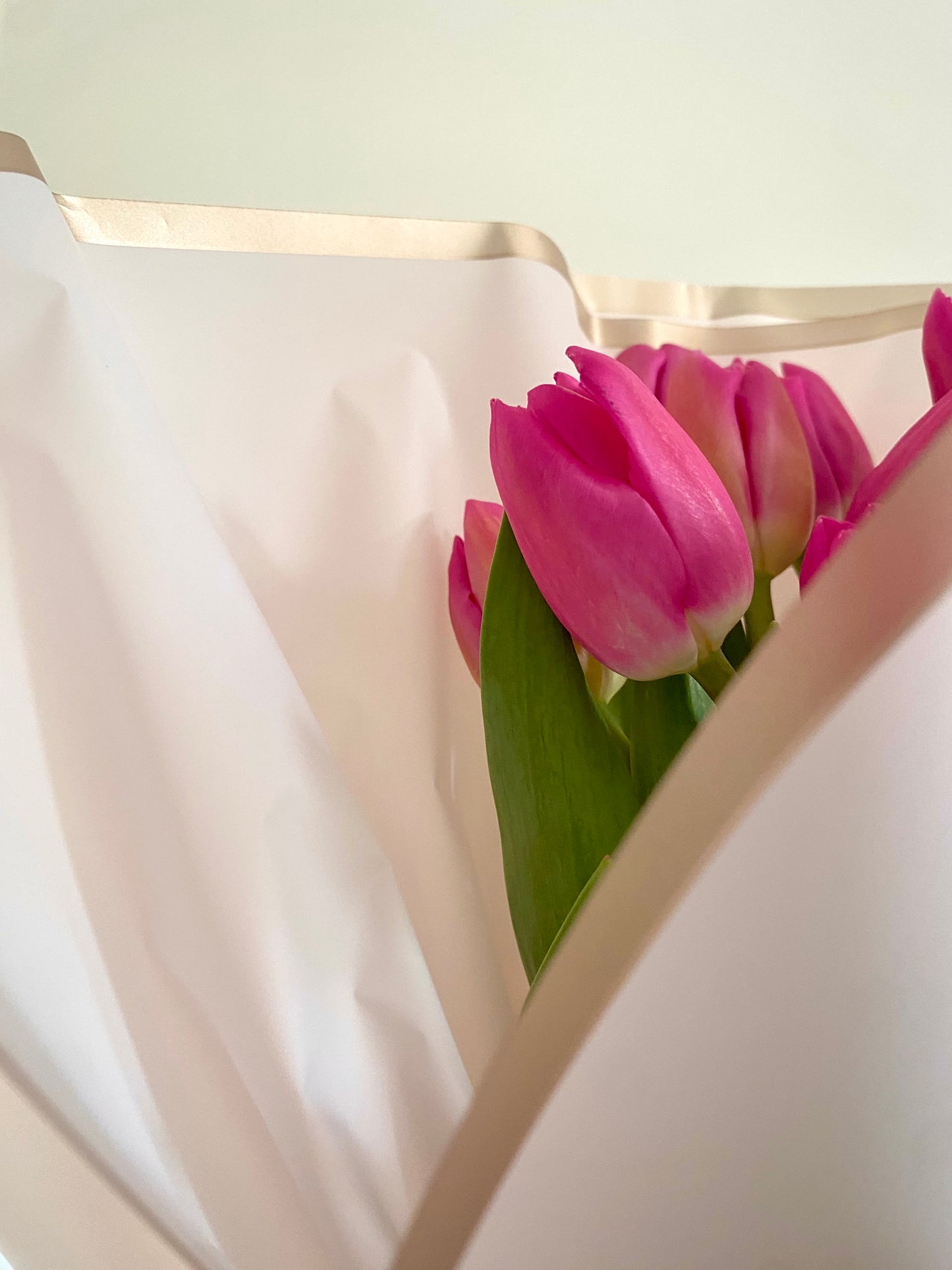 Bouquet 20 tulipanes
