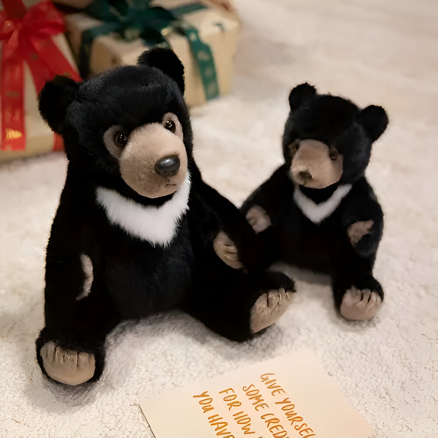 Tovi, el oso bondadoso