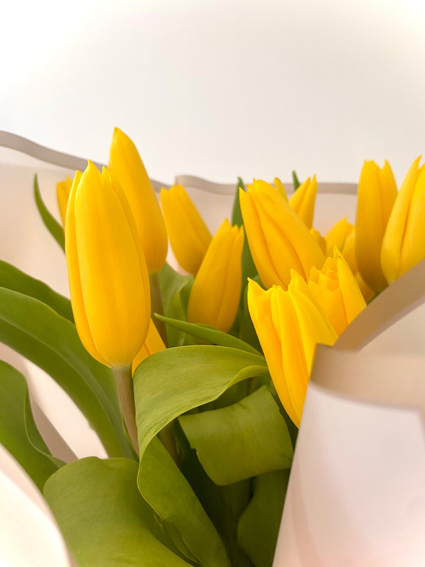 Bouquet 20 tulipanes