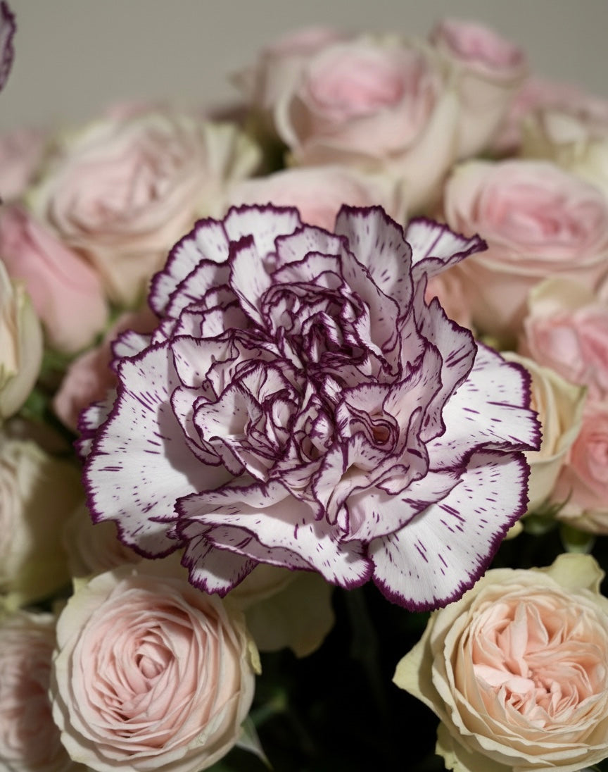 Petite Fleur - flor