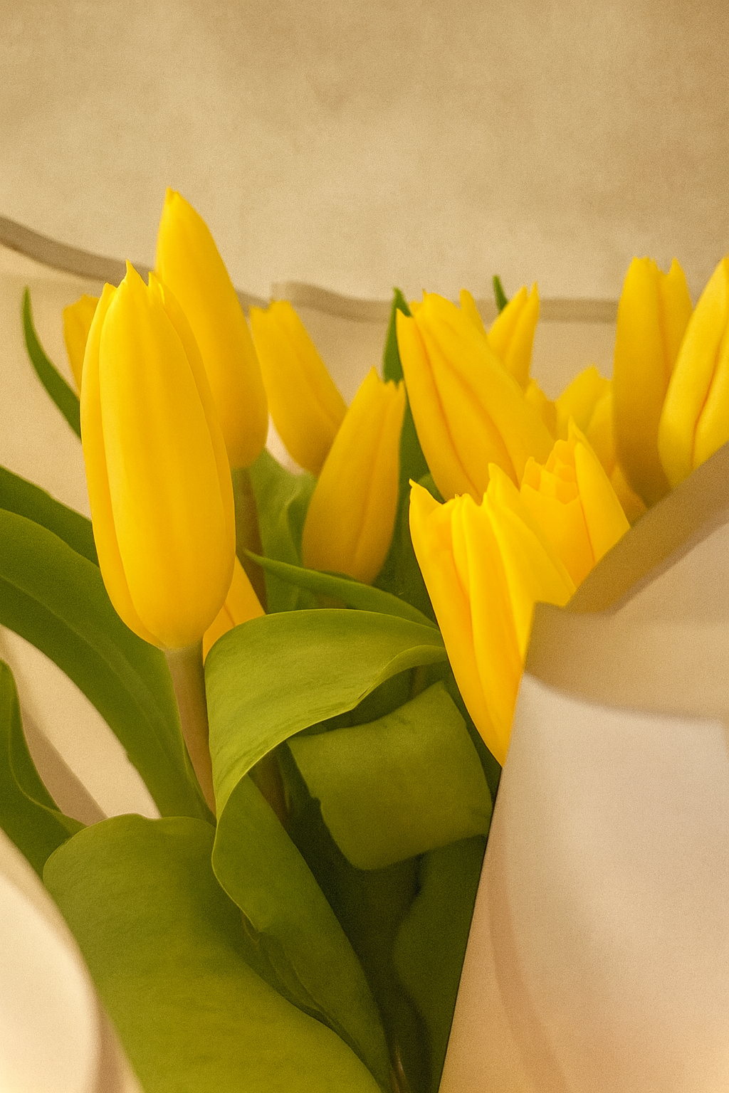 Bouquet 20 tulipanes