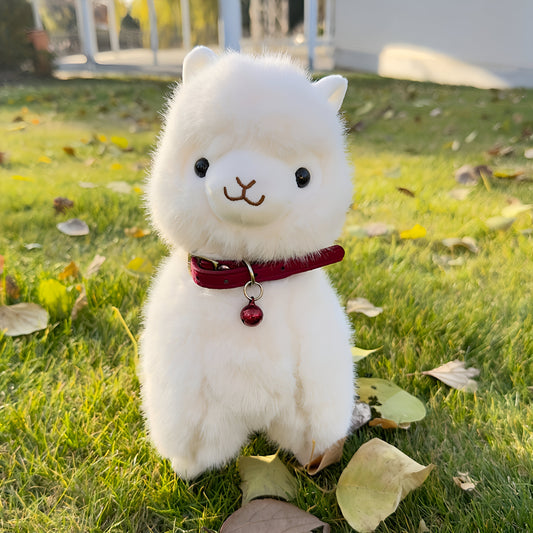 Noa, la alpaca