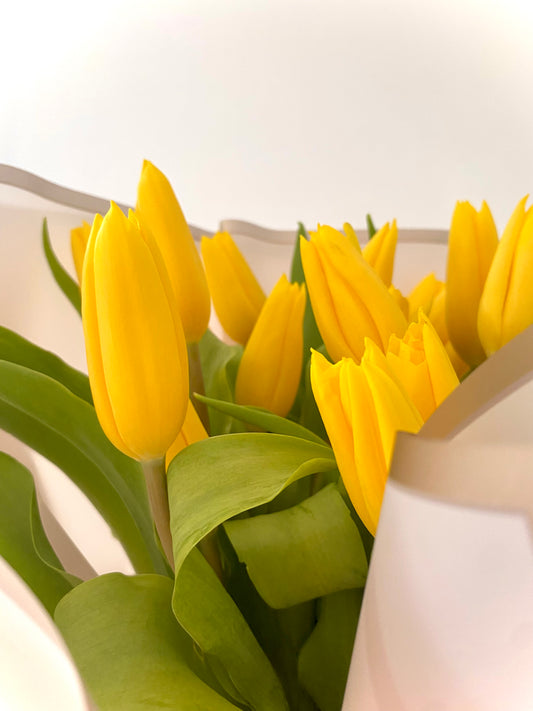 Bouquet 20 tulipanes